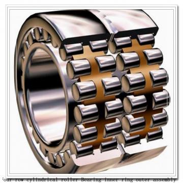 220ryl1621 four-row cylindrical roller Bearing inner ring outer assembly