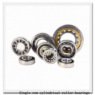 NUP29/1180 Single row cylindrical roller bearings