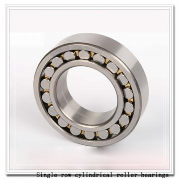 N338M Single row cylindrical roller bearings