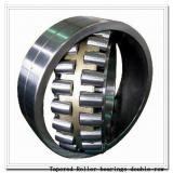 13176D 13318 Tapered Roller bearings double-row